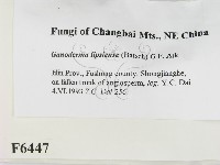 登錄號:F0006447藏品圖，第2張