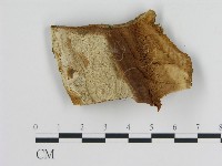 登錄號:F0006447藏品圖，第1張