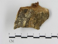 登錄號:F0006447藏品圖，第3張