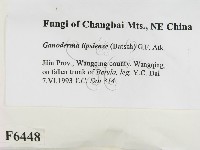 登錄號:F0006448藏品圖，第2張