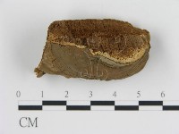 登錄號:F0006448藏品圖，第1張