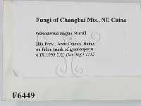 登錄號:F0006449藏品圖，第2張