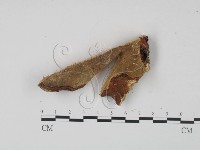 登錄號:F0006449藏品圖，第3張