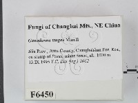 登錄號:F0006450藏品圖，第2張