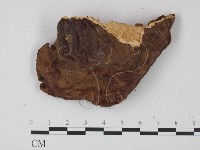 登錄號:F0006450藏品圖，第1張