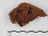 登錄號:F0006450藏品圖，第3張