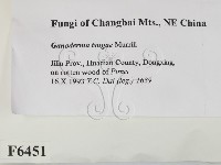 登錄號:F0006451藏品圖，第2張