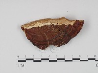 登錄號:F0006451藏品圖，第1張