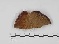 登錄號:F0006451藏品圖，第3張