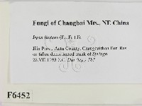 登錄號:F0006452藏品圖，第2張