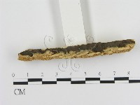 登錄號:F0006452藏品圖，第3張