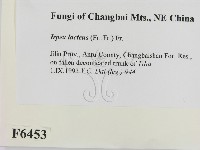 登錄號:F0006453藏品圖，第2張