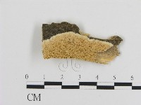 登錄號:F0006453藏品圖，第1張