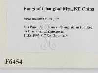 登錄號:F0006454藏品圖，第2張