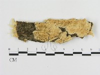 登錄號:F0006454藏品圖，第1張