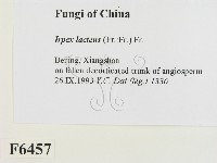 登錄號:F0006457藏品圖，第2張