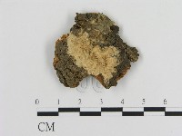 登錄號:F0006457藏品圖，第1張