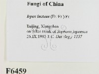 登錄號:F0006459藏品圖，第2張