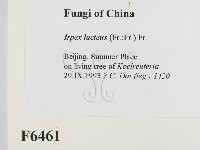 登錄號:F0006461藏品圖，第2張