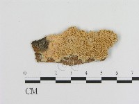 登錄號:F0006461藏品圖，第1張