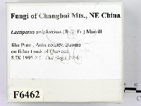 登錄號:F0006462藏品圖，第2張