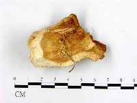 登錄號:F0006462藏品圖，第1張