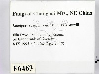 登錄號:F0006463藏品圖，第2張