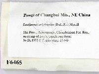 登錄號:F0006465藏品圖，第2張