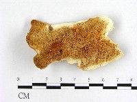 登錄號:F0006465藏品圖，第1張