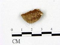 登錄號:F0006467藏品圖，第1張