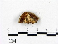 登錄號:F0006467藏品圖，第3張