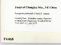 登錄號:F0006468藏品圖，第2張