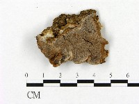 登錄號:F0006468藏品圖，第1張