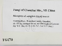 登錄號:F0006470藏品圖，第2張