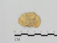 登錄號:F0006471藏品圖，第3張