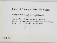 登錄號:F0006472藏品圖，第2張