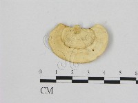 登錄號:F0006472藏品圖，第1張