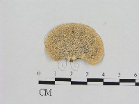 登錄號:F0006472藏品圖，第3張