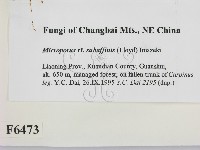 登錄號:F0006473藏品圖，第2張