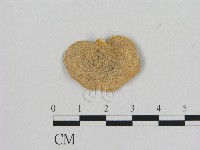 登錄號:F0006474藏品圖，第3張