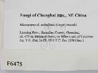 登錄號:F0006475藏品圖，第2張