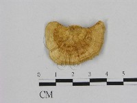 登錄號:F0006475藏品圖，第1張