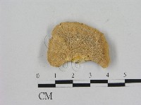 登錄號:F0006475藏品圖，第3張