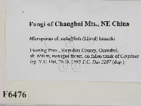 登錄號:F0006476藏品圖，第2張