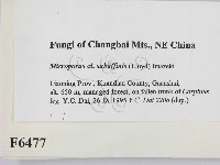 登錄號:F0006477藏品圖，第2張