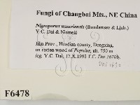 登錄號:F0006478藏品圖，第2張