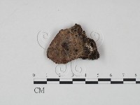 登錄號:F0006478藏品圖，第1張