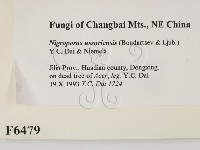 登錄號:F0006479藏品圖，第2張