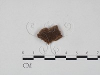 登錄號:F0006479藏品圖，第1張