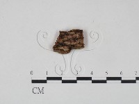 登錄號:F0006479藏品圖，第3張